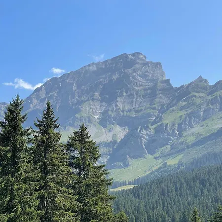 Lägenhet Memoret C27 A Gryon, Proche De Toutes Les Commodites Gryon