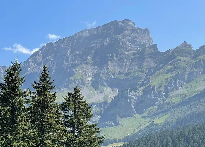 Appartement Memoret C27 A Gryon, Proche De Toutes Les Commodites Gryon