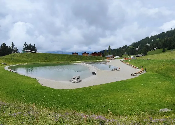 Appartement Memoret C27 A Gryon, Proche De Toutes Les Commodites *