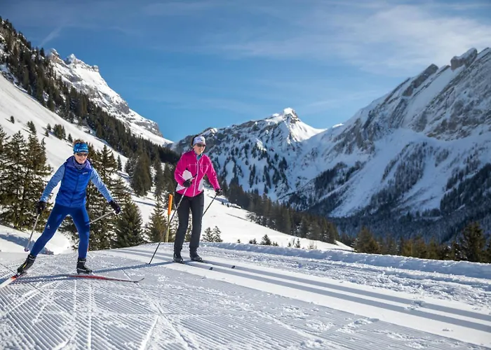 Memoret C27 A Gryon, Proche De Toutes Les Commodites Appartement Gryon