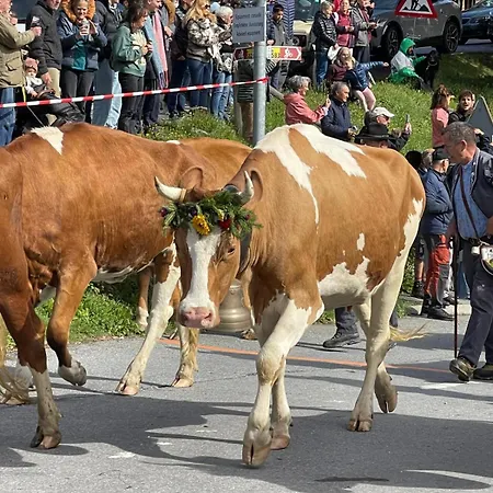 Апартаменты Memoret C27 A Gryon, Proche De Toutes Les Commodites Грион