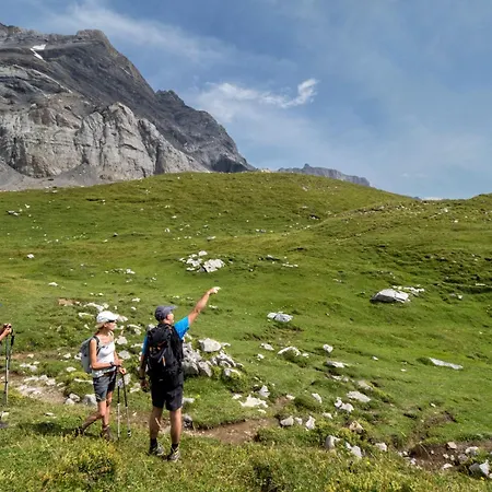 Memoret C27 A Gryon, Proche De Toutes Les Commodites * Gryon